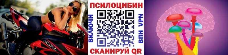 Купить  Кинель  Псилоцибиновые грибы мухоморы 